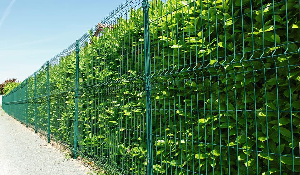 Texte Odoo et bloc d'image